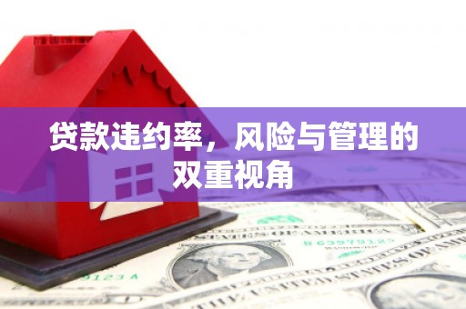 赤峰贷款违约率，风险与管理的双重视角