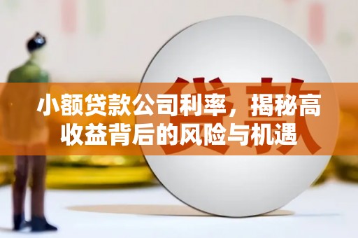 赤峰小额贷款公司利率，揭秘高收益背后的风险与机遇