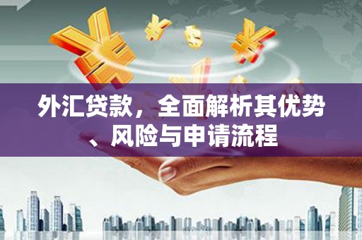 赤峰外汇贷款，全面解析其优势、风险与申请流程