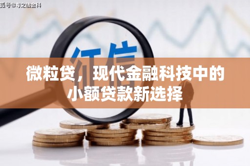 赤峰微粒贷，现代金融科技中的小额贷款新选择