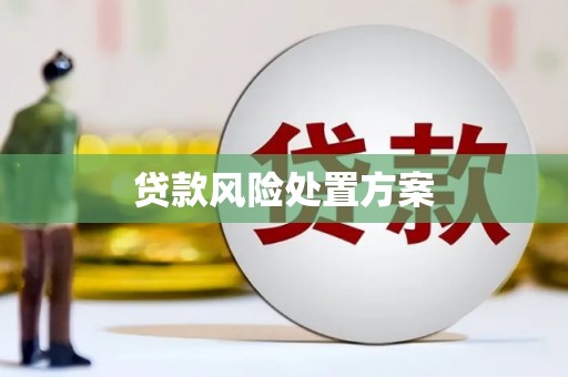 赤峰贷款风险处置方案