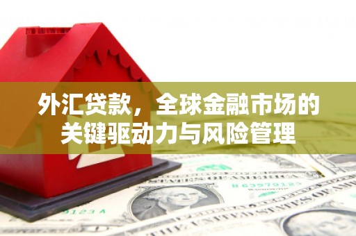 赤峰外汇贷款，全球金融市场的关键驱动力与风险管理