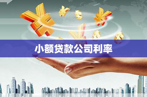 赤峰小额贷款公司利率