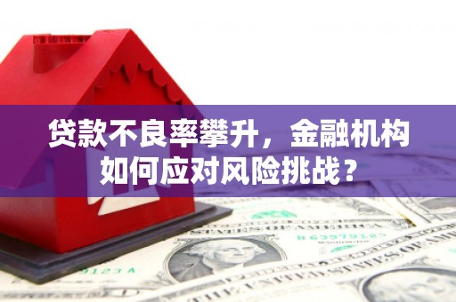 赤峰贷款不良率攀升，金融机构如何应对风险挑战？