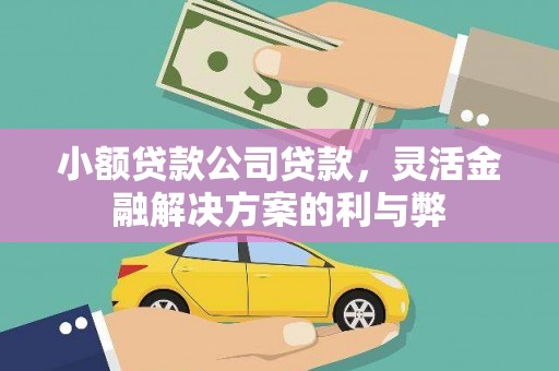 赤峰小额贷款公司贷款，灵活金融解决方案的利与弊